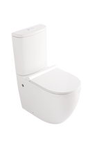 Back To Wall Rimless Toilet Suite Universal 80-180