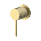 Wall/Shower Mixer Trim Kit Brushed Gold