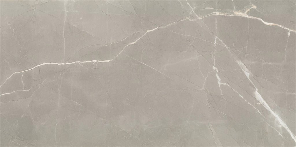 Timeless Amani Grey Polished Tile