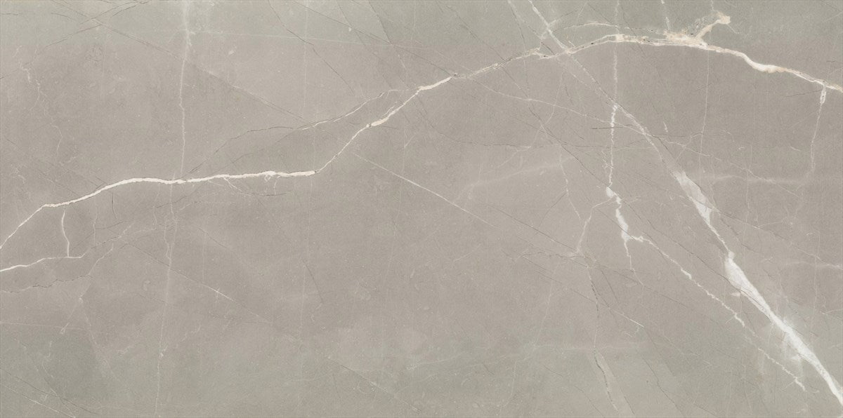 Timeless Amani Grey Polished Tile