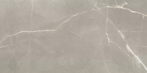 Timeless Amani Grey Polished Tile