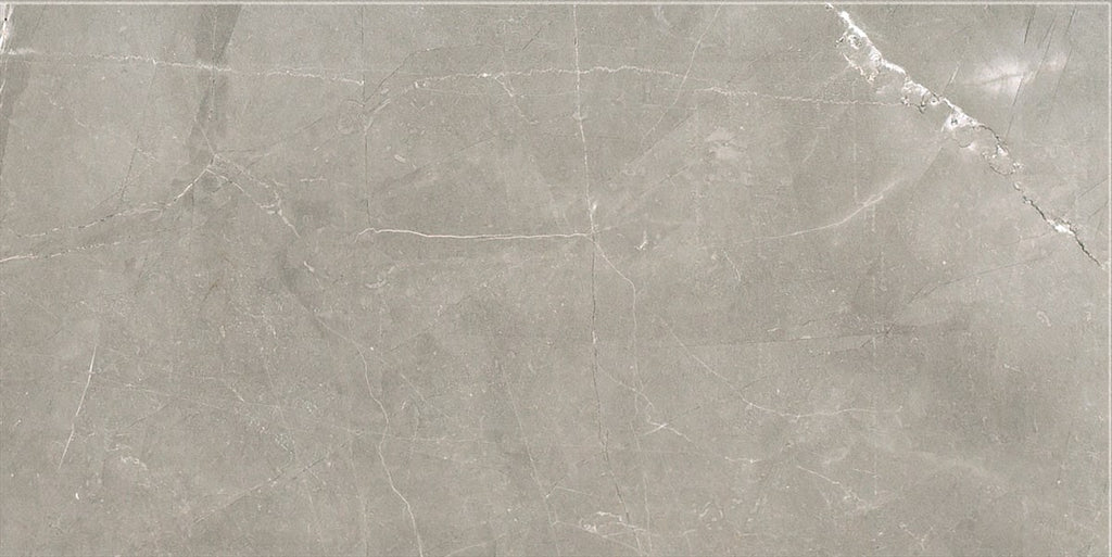 Amani Grey Polished Tile