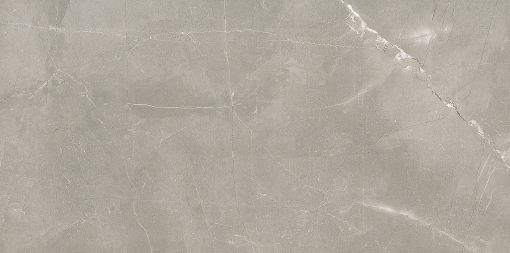 Amani Grey Polished Tile