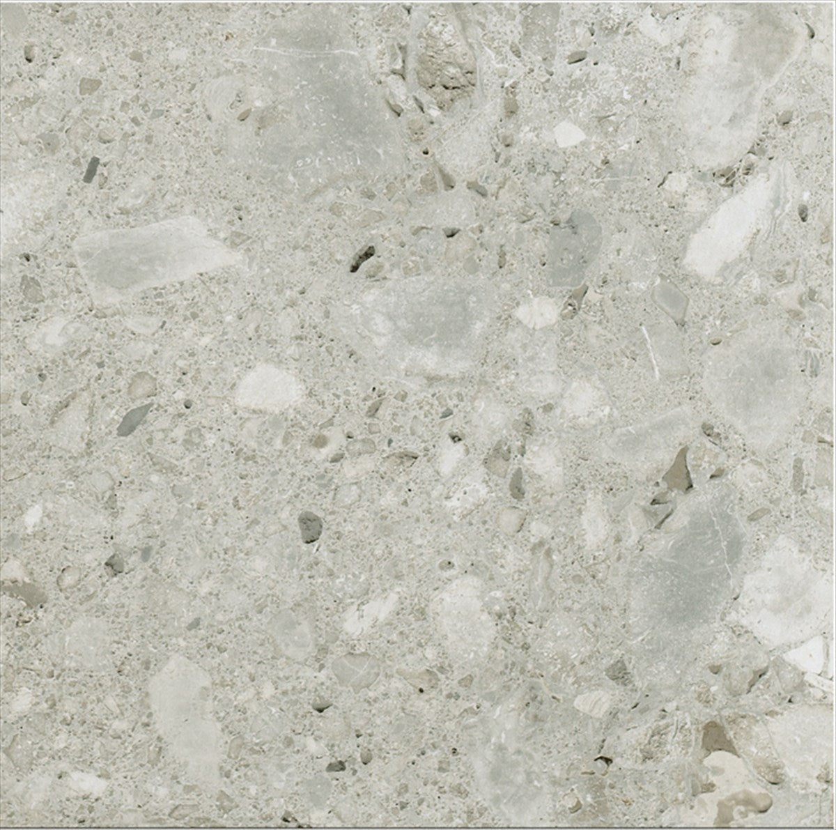 Timeless Ceppo Gris Polished Tile