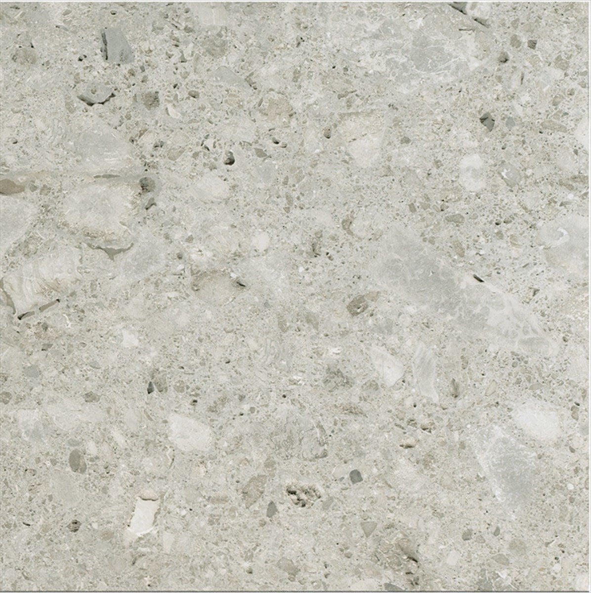 Ceppo Gris Polished Tile