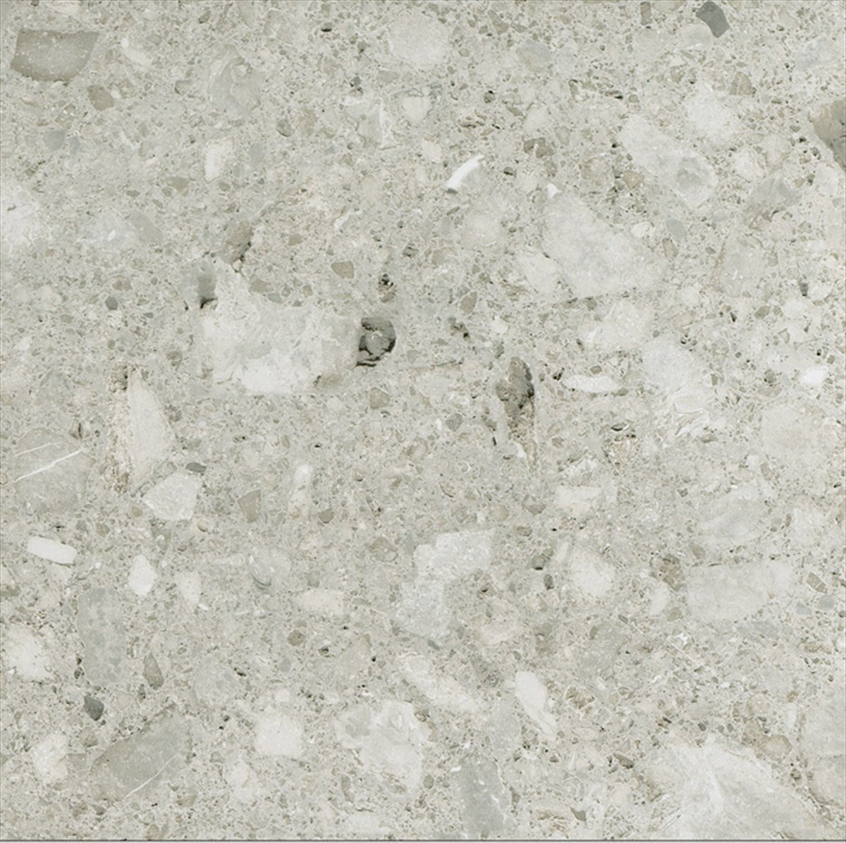 Ceppo Gris Polished Tile