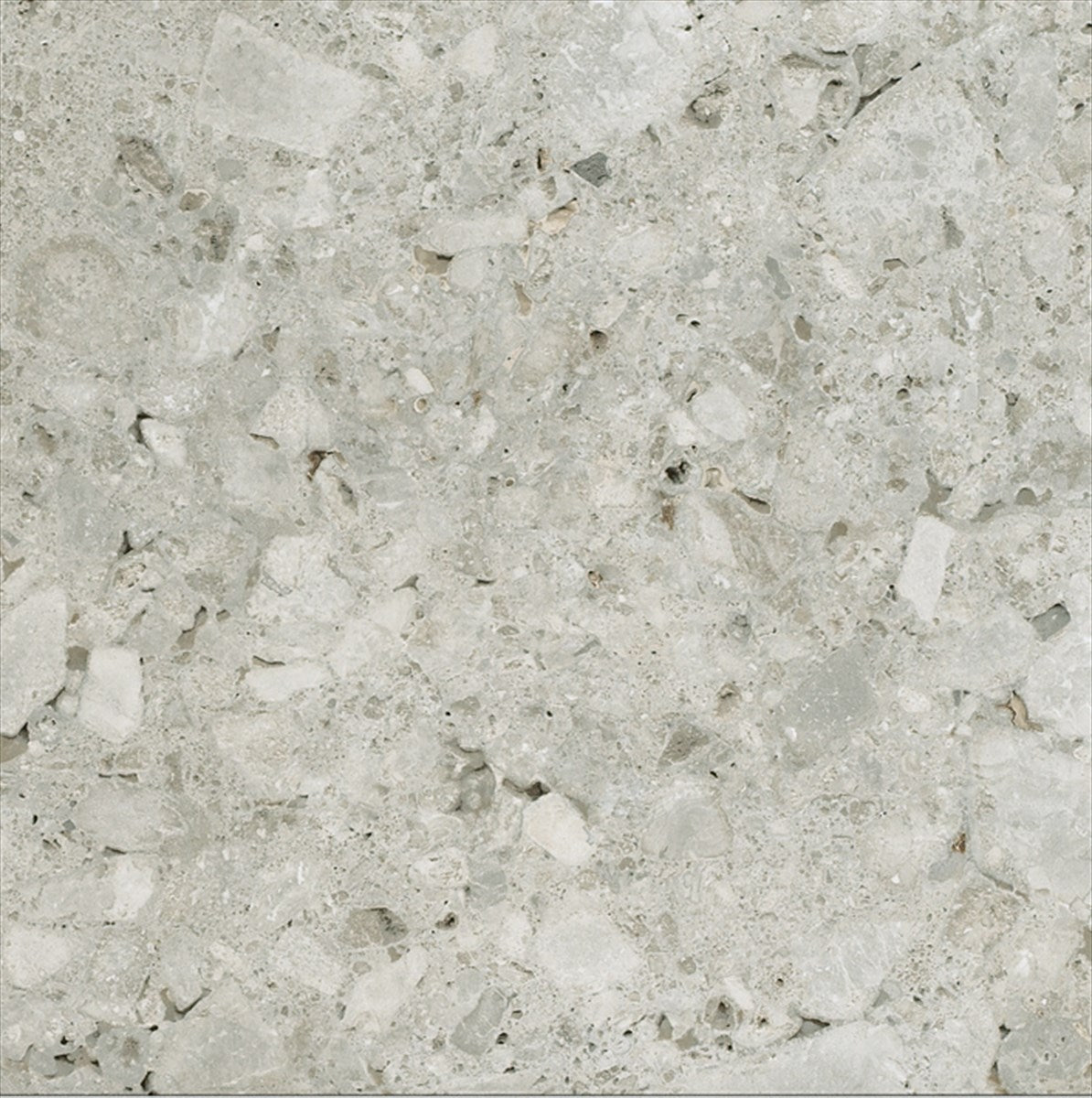 Ceppo Gris Polished Tile