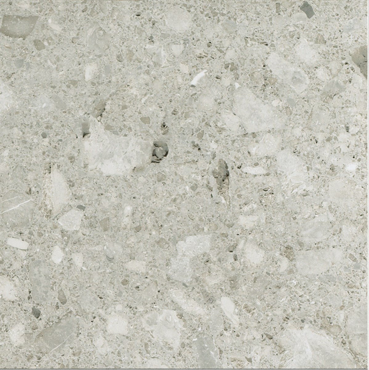 Ceppo Gris Polished Tile