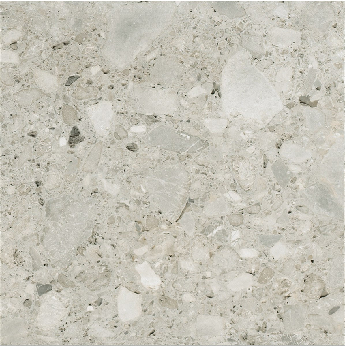 Ceppo Gris Polished Tile