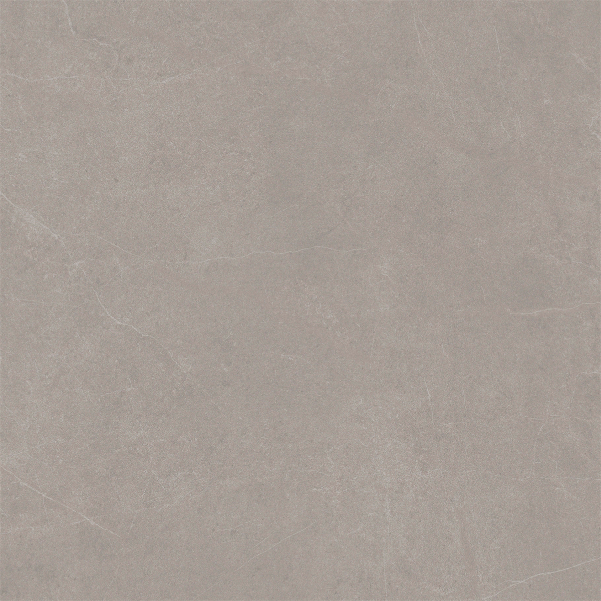Grey Stone Matt Tile