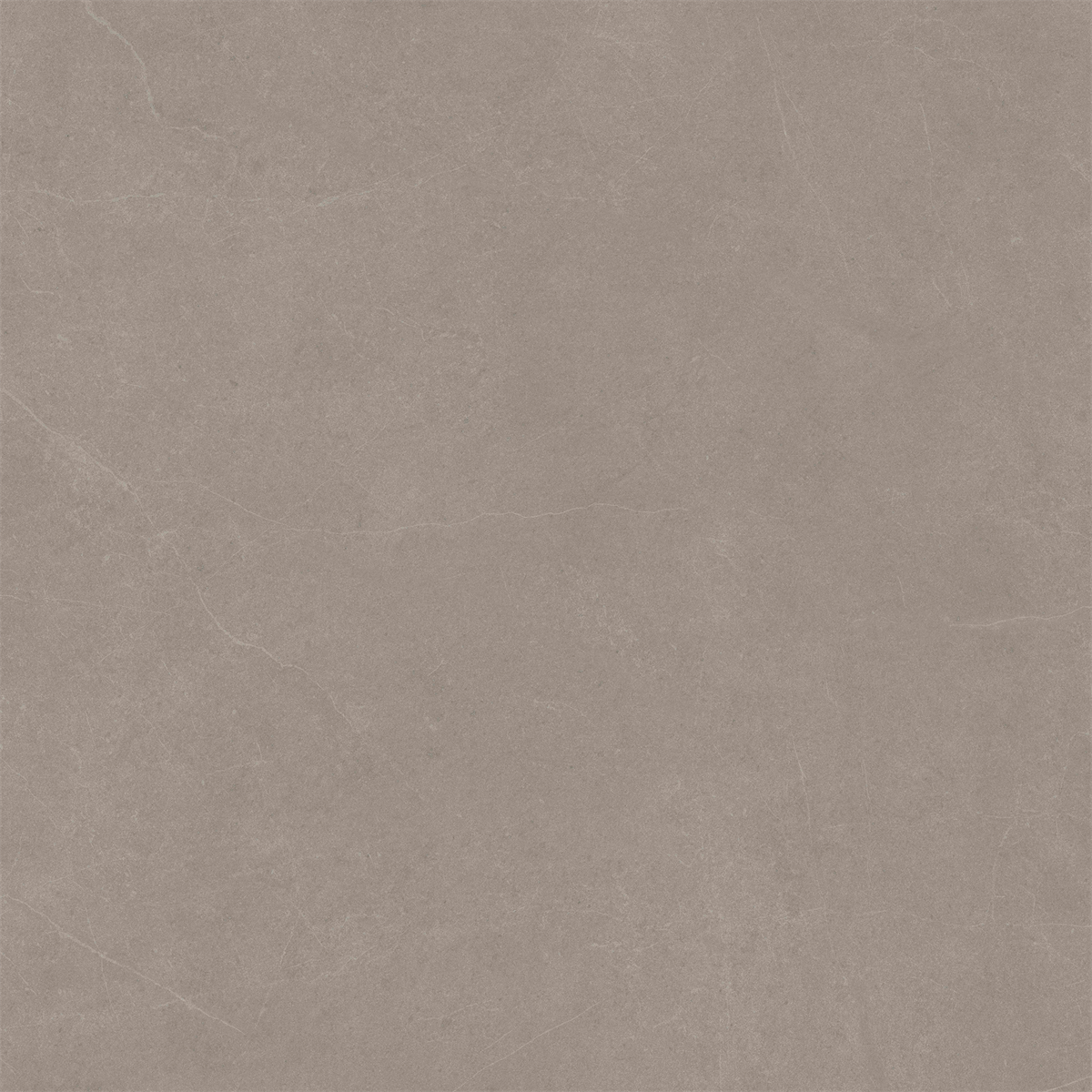 Latte Stone Matt Tile