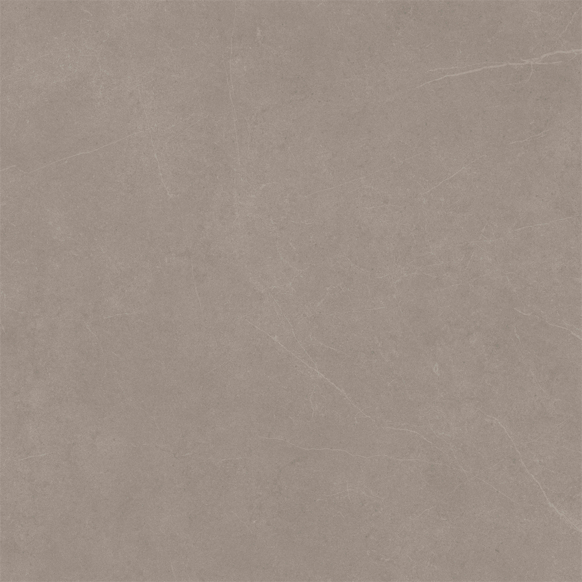 Latte Stone Matt Tile