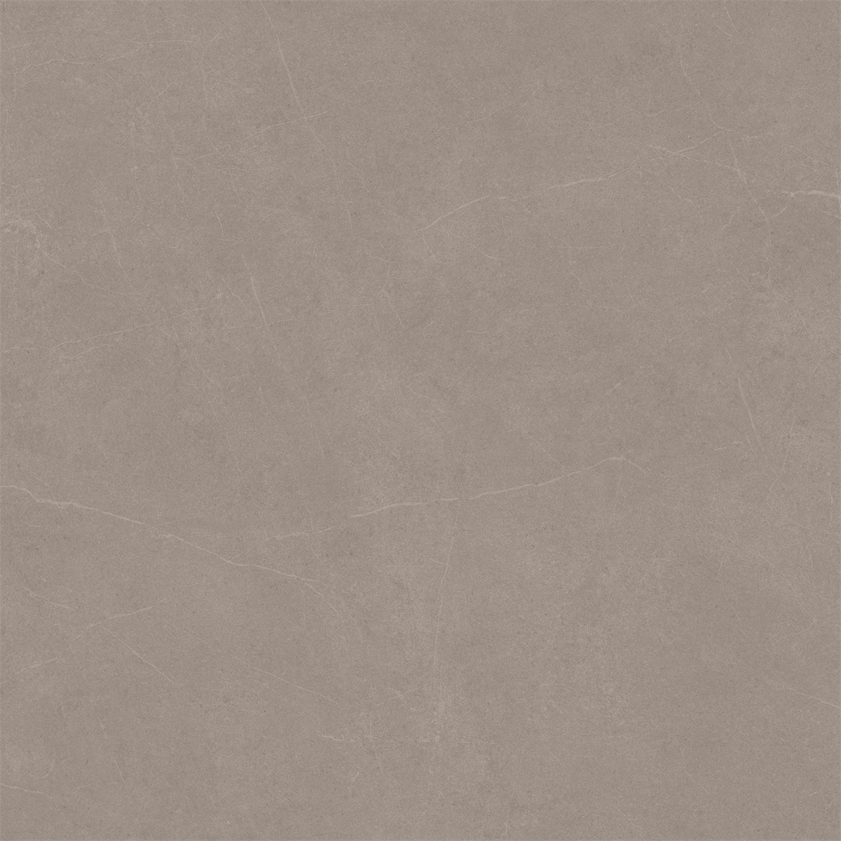 Latte Stone Matt Tile