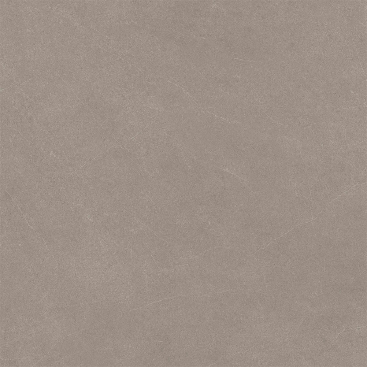 Latte Stone Extra Textured Tile Sample