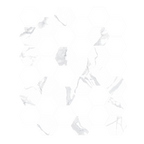 Shape Carrara Hexagon Satin Mosaic