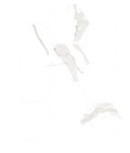 Shape Carrara Gold Large Hexagon Satin Mosaic