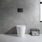 Rimless In-wall Toilet Suite S&P Trap with Round ABS Matte Black Button - lifestyle view