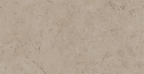 Beige Gloss Tile