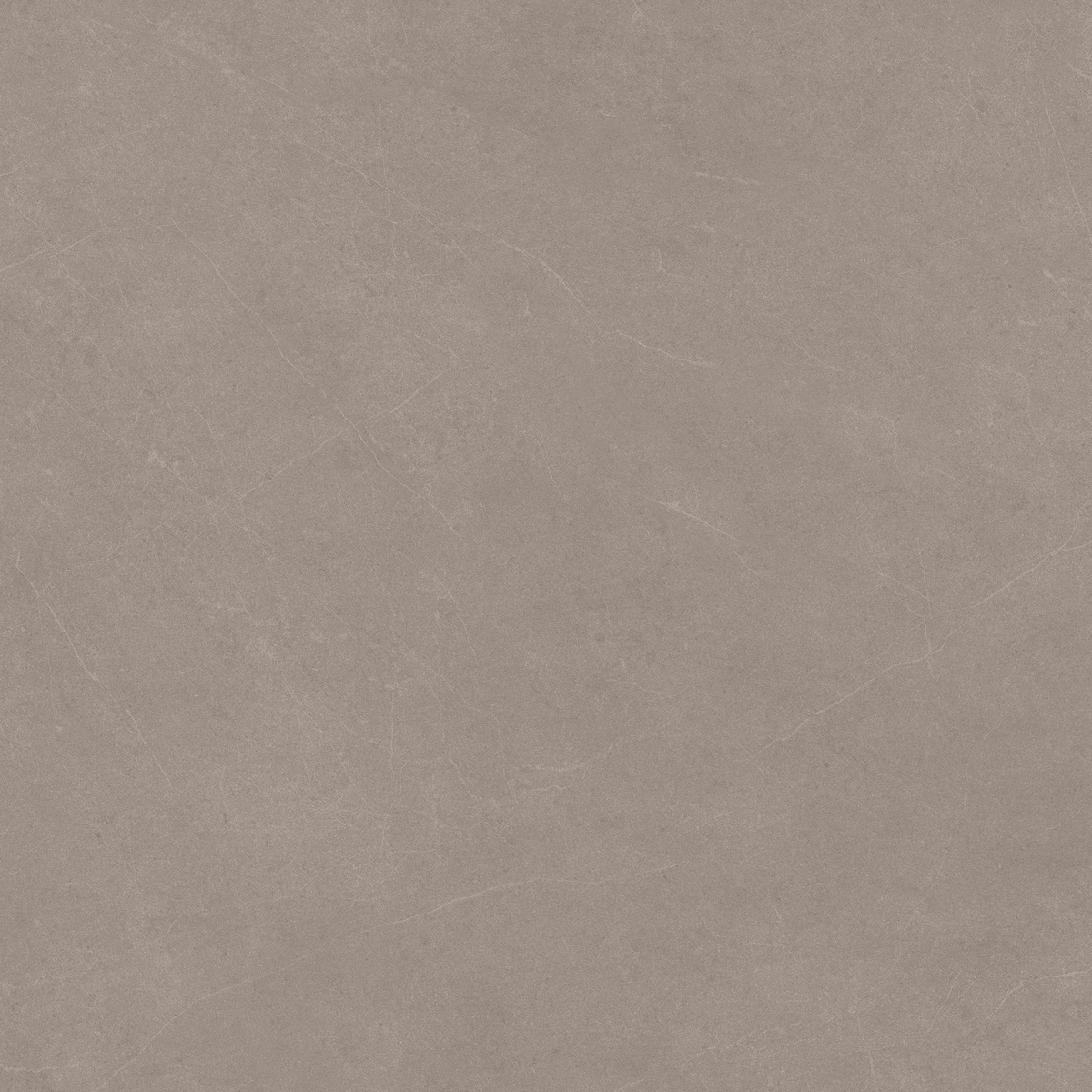 Latte Stone HiLite Matt Tile
