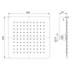 Shower Head 250 Brushed Nickel