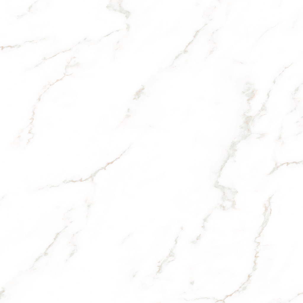 Bora Carrara White Polished Tile