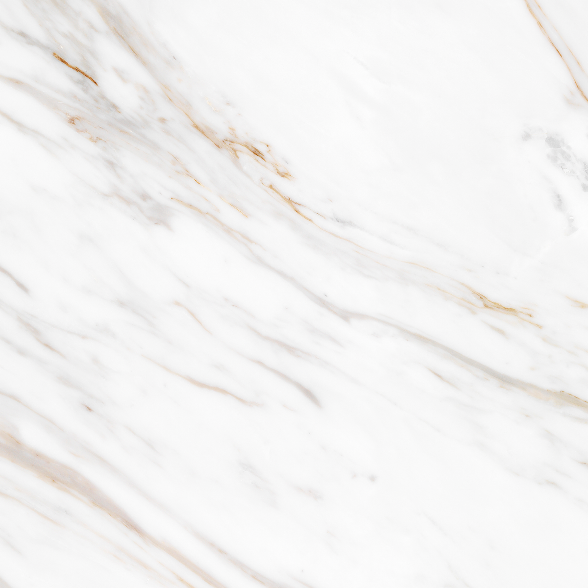 Carrara Gold Polished Tile