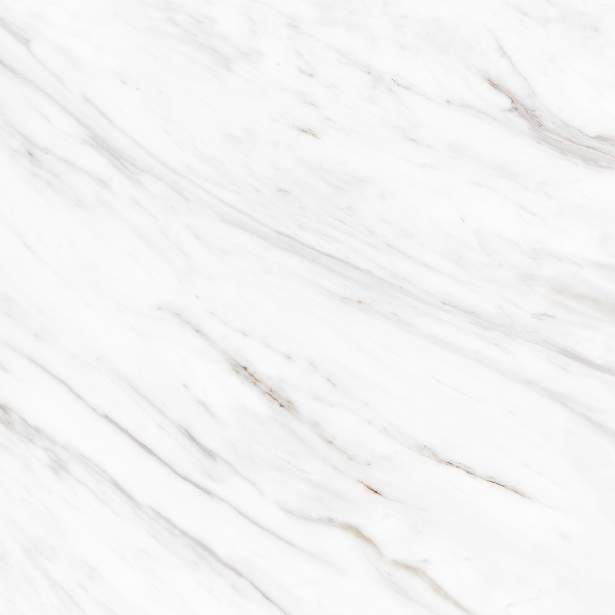 Carrara Gold Polished Tile