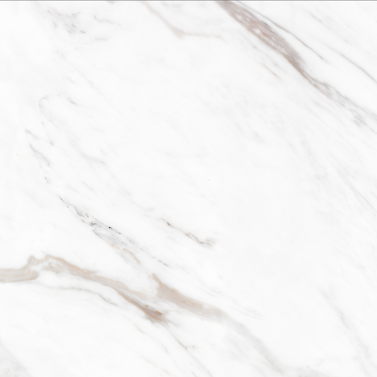 Carrara Gold Polished Tile