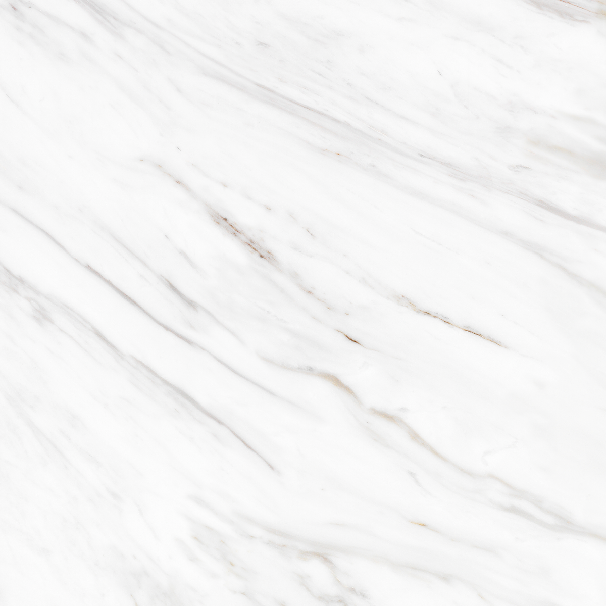 Carrara Gold Polished Tile