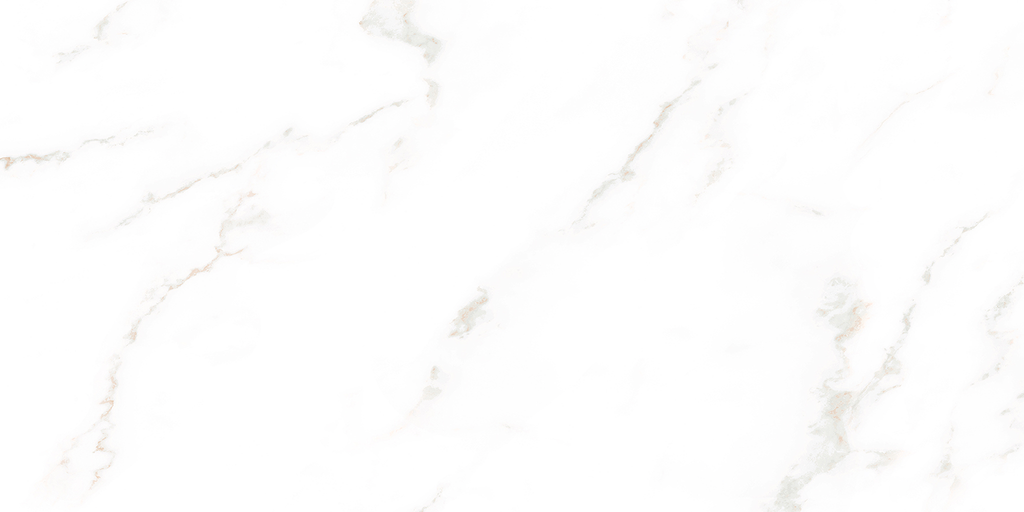 Bora Carrara White Polished Tile