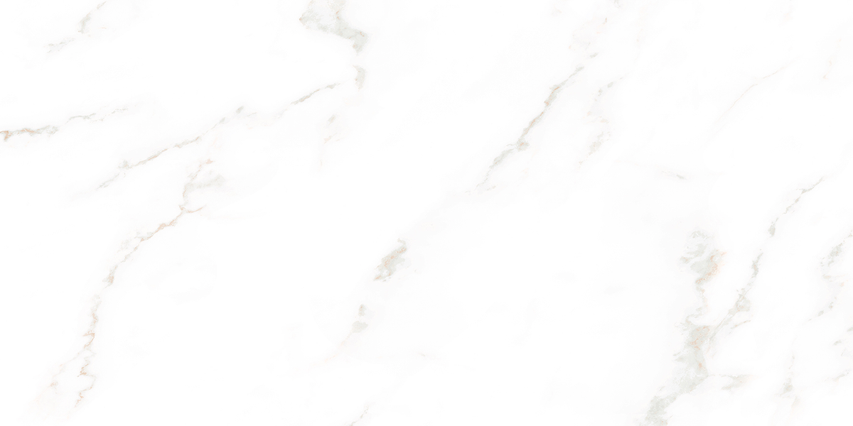 Bora Carrara White Polished Tile