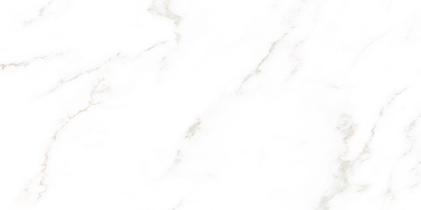 Bora Carrara White Polished Tile