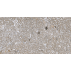 Earl Grey Mix Textured Tile