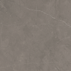 Pulpis Grey Polished Tile