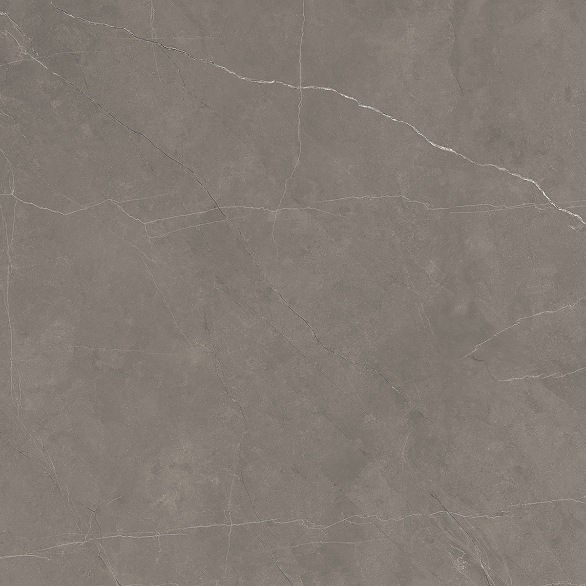Pulpis Grey Polished Tile