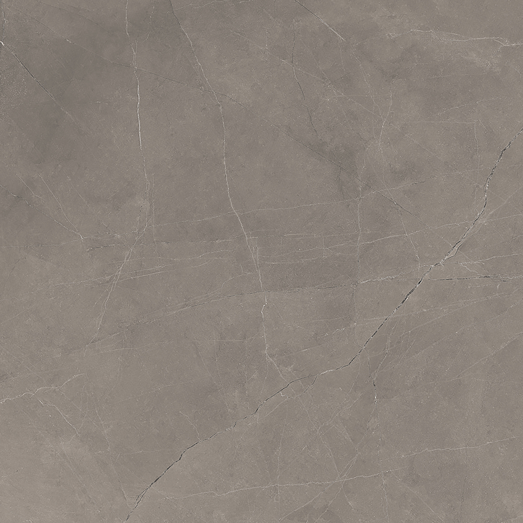 Grey Polished Tile