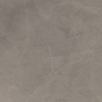 Grey Polished Tile
