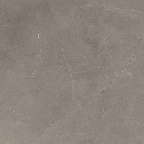 Grey Polished Tile