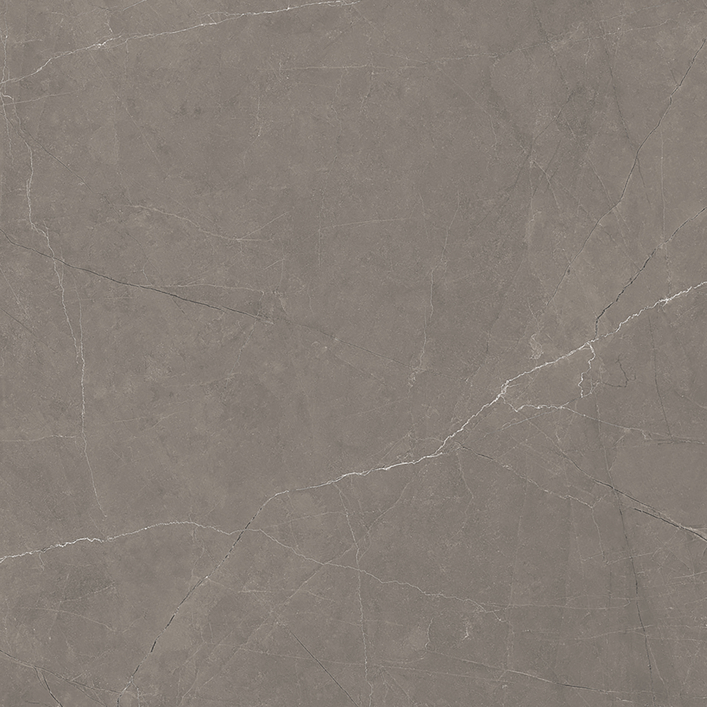 Grey Polished Tile