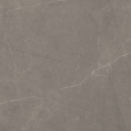 Grey Polished Tile