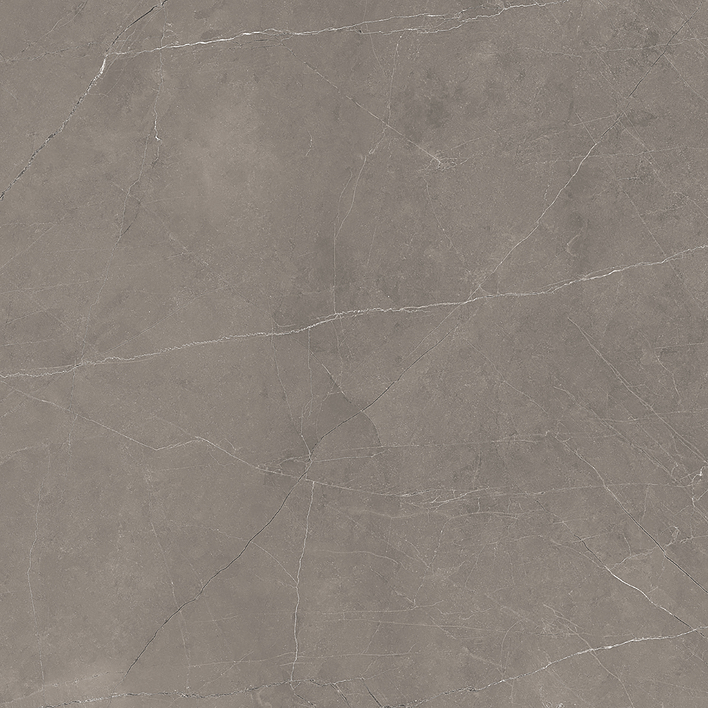 Grey Polished Tile