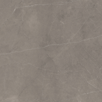 Grey Polished Tile