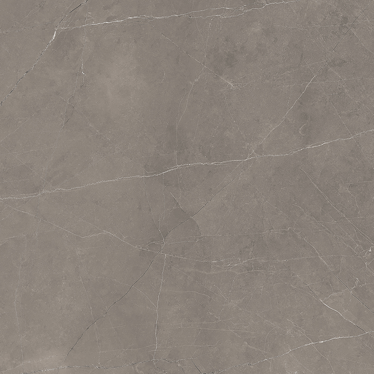 Grey Polished Tile