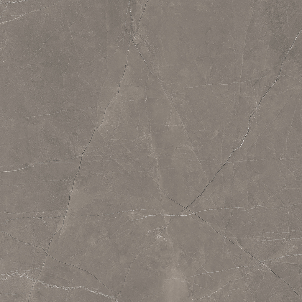 Grey Polished Tile