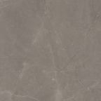 Grey Polished Tile