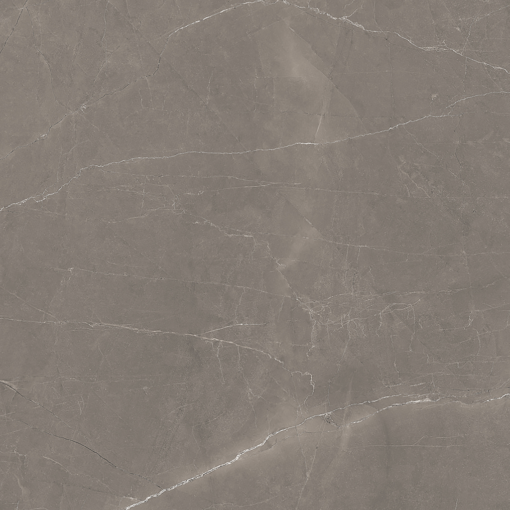 Grey Polished Tile