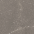 Grey Polished Tile