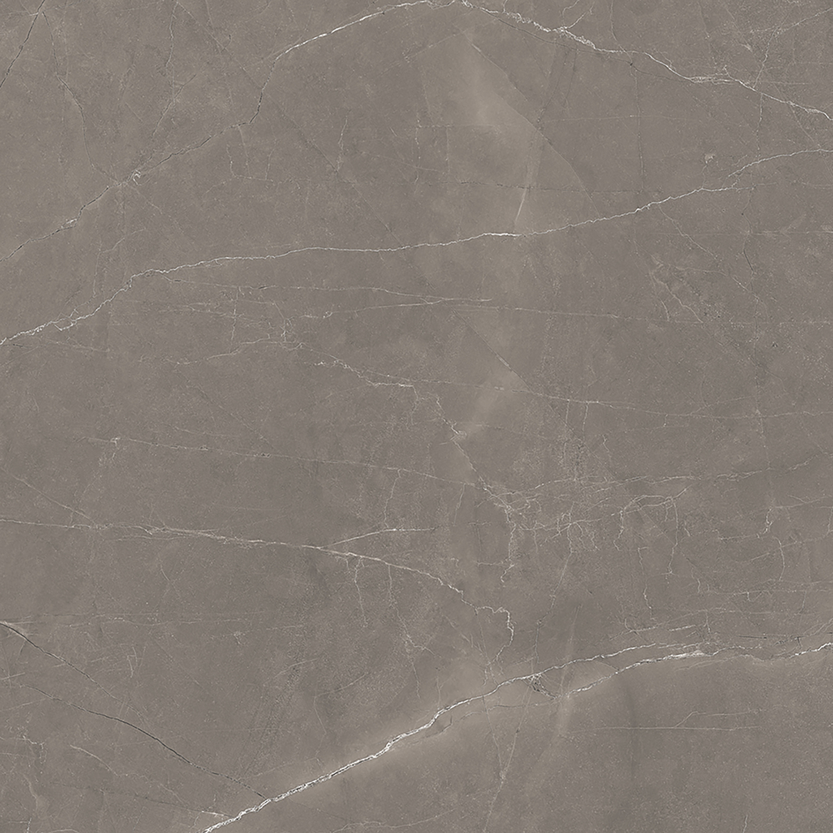 Grey Polished Tile