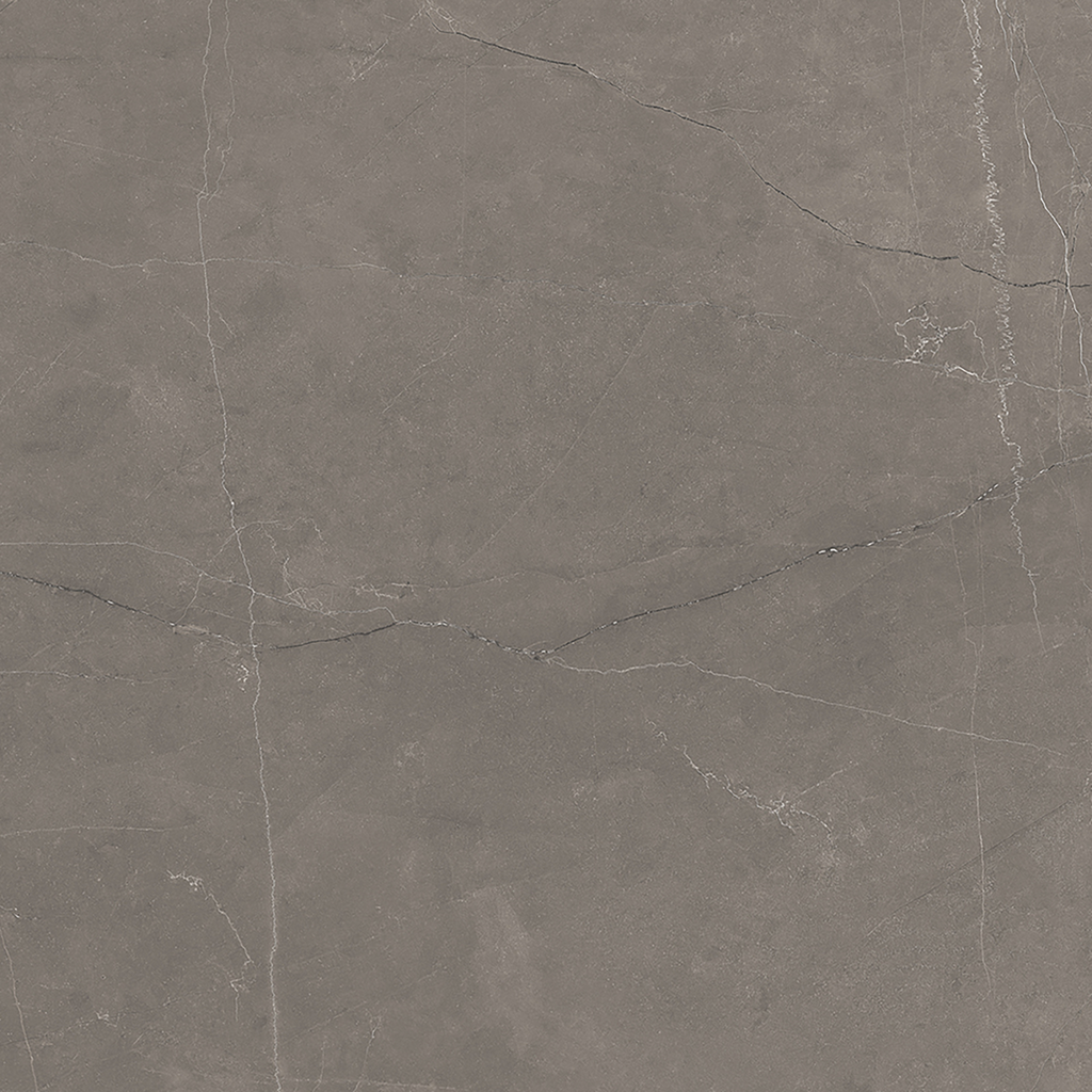Grey Polished Tile