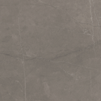 Grey Polished Tile